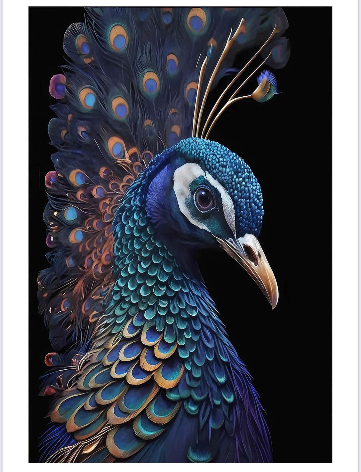 WP-104 - Wall Art