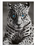 WP-112 - Wall Art