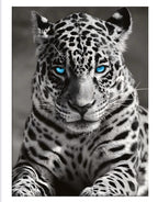 WP-112 - Wall Art