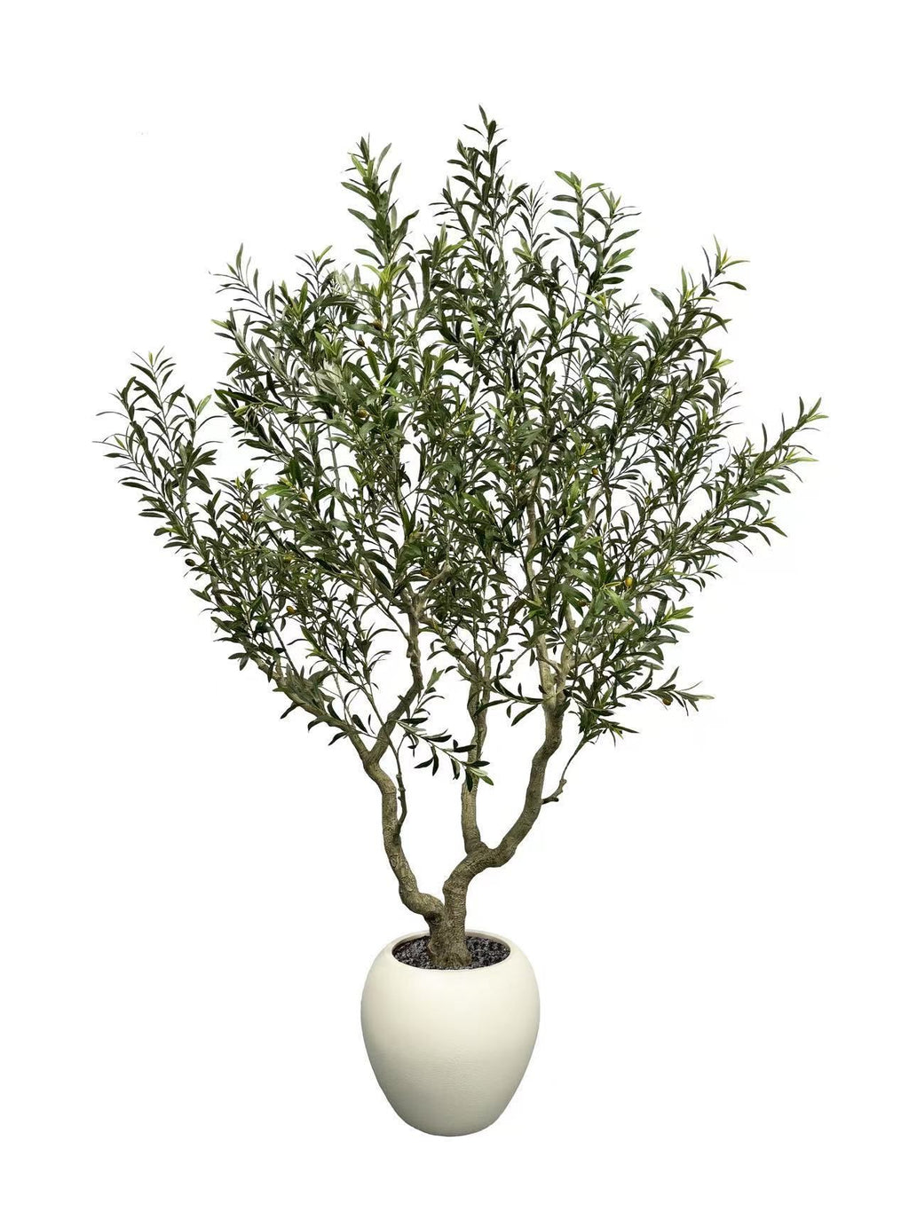 Tree - 105-94