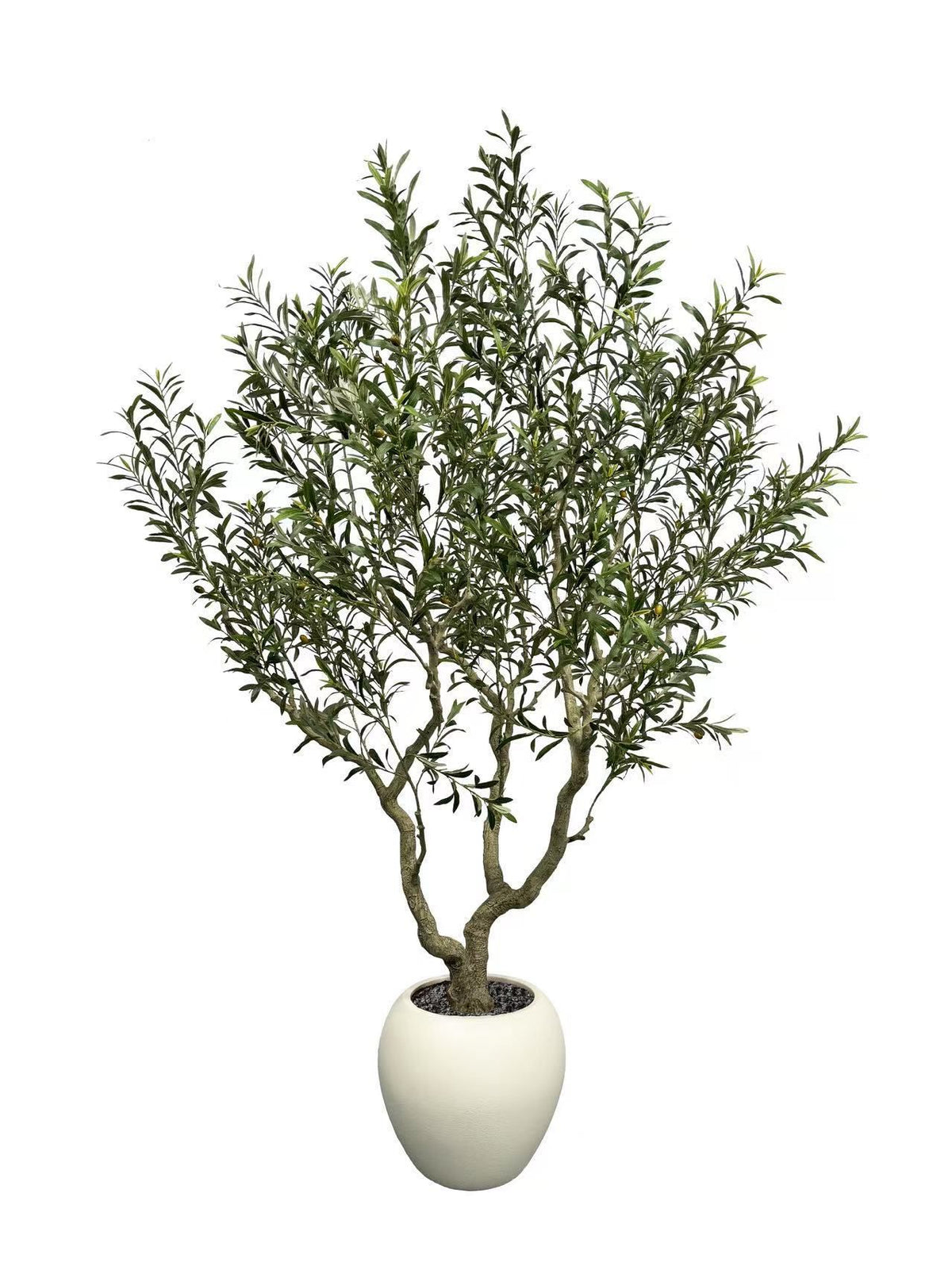 Tree - 105-94