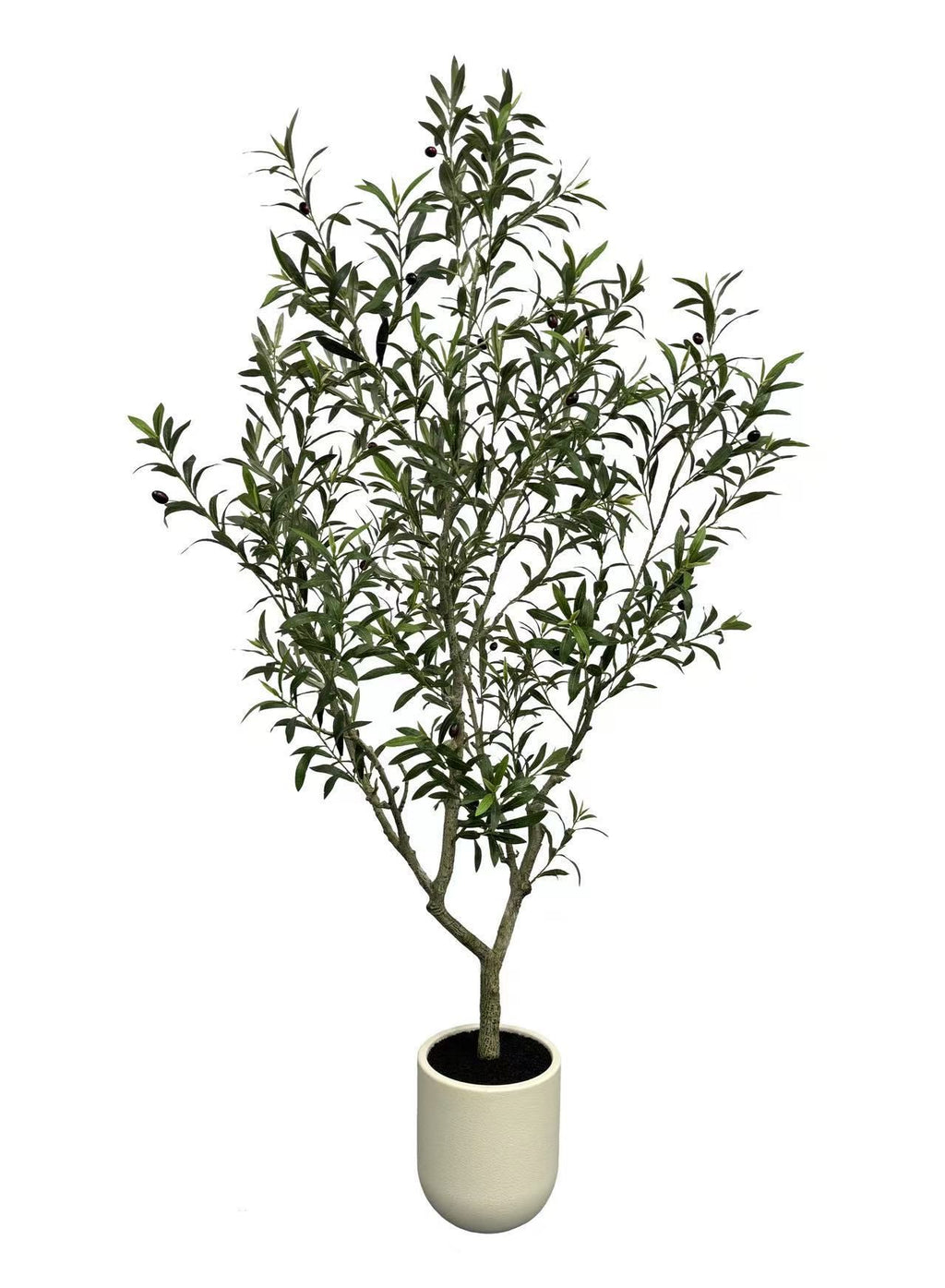 Tree - 104-84