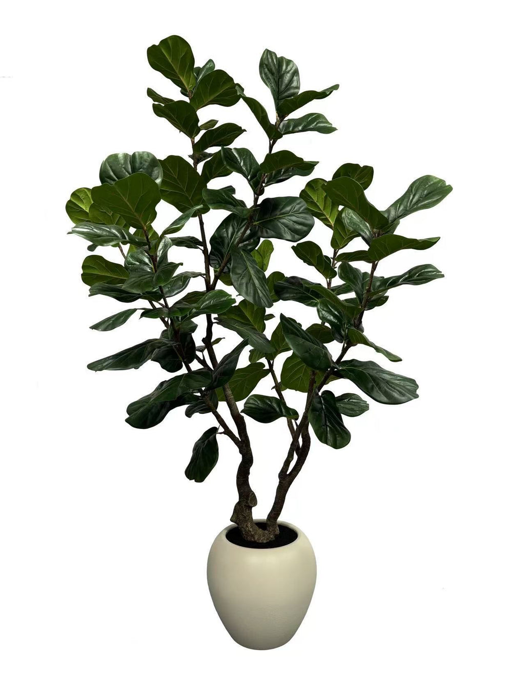 Tree - 101-94
