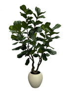 Tree - 101-94